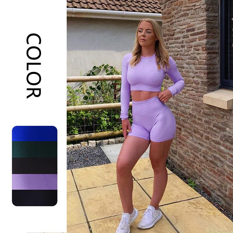 

2-piece women' ribbed seamless long-sleeved yoga set fitness clothes women' high-waist sports leggings long-sleeved top, Blue