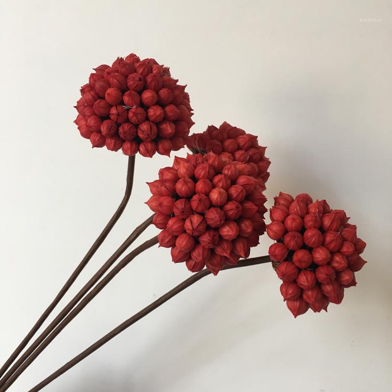 

Dried Flowers 4pcs/lot Craft Jequirity,Handmade Floral for DIY Christmas Wedding Favor Home Gift Decor,Valentine's Day Fores1