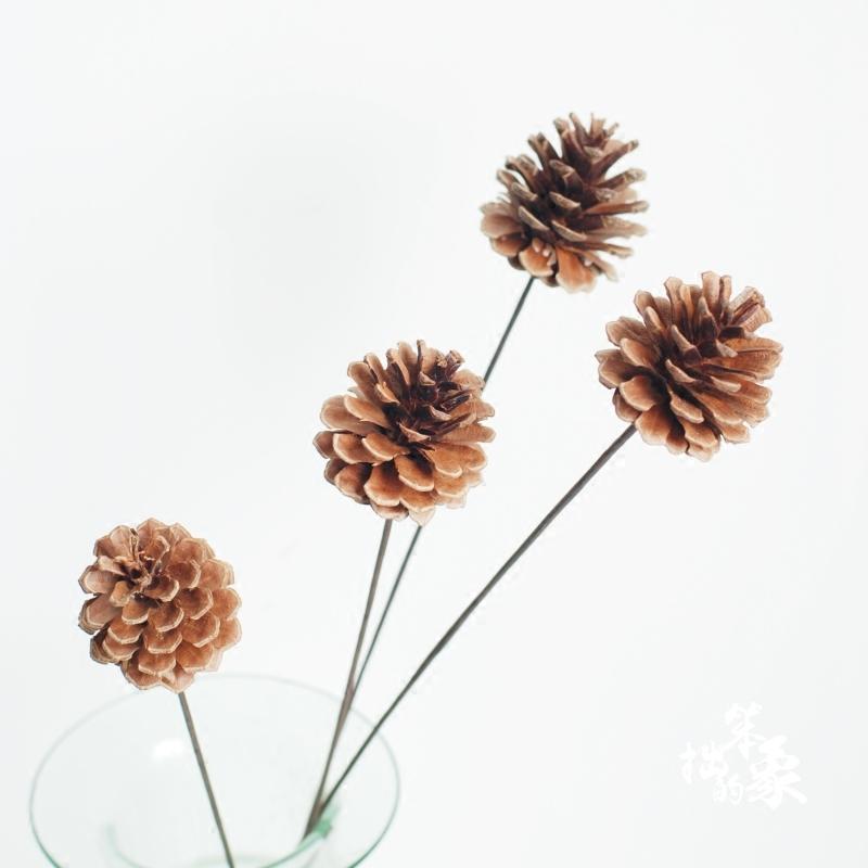 

5pcs dried pine cone flowers bouquets naturally pine cone bouquets pure bunches, 5 pcs