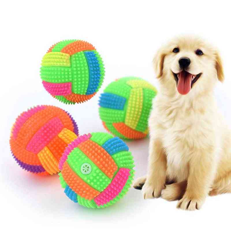 bouncing ball dog toy