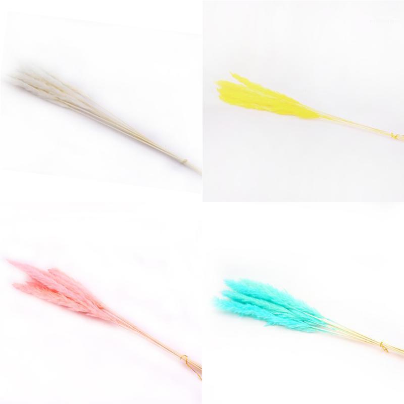 

15 Pcs Natural Reed Dried Flower Bundle Preserved Flower DIY Shop Window Decoration Immortal Bouquet1, Blue