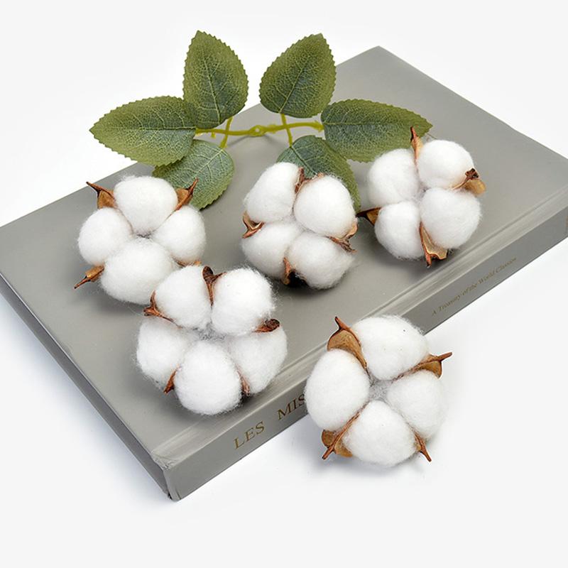 

5/10Pcs Natural Dried Flowers Kapok Cotton for Wedding Christmas Home Decor DIY Craft Wreath Gift Scrapbook Artificial Flowers, White