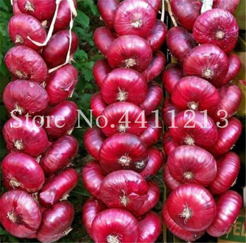 

100Pcs seeds Garden Supplies Natural Growth Variety of Colors Bonsai Onion Sweet Spanish Plants vegetables Perennial Non-GMO garden bonsai plant Easy to Grow