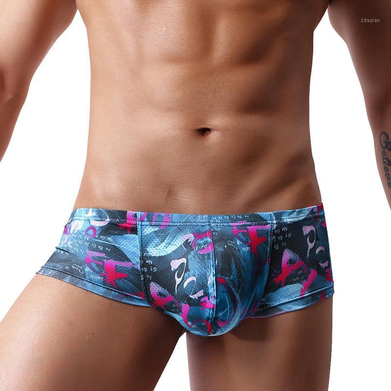 

New Sexy Men Underwear Breathable Printed Briefs Low Waist Male Underpants Cuecas Calzoncillos Bulge Pouch Mesh Bikini Briefs1