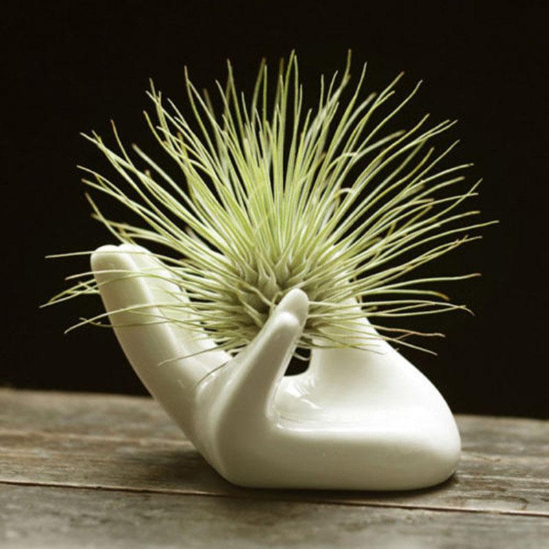 

1PCS Garden Ornaments White Porcelain Ceramic Air Plant Tillandsia Holder Flower Office Desk Decor Chic Home Decoration YH461006