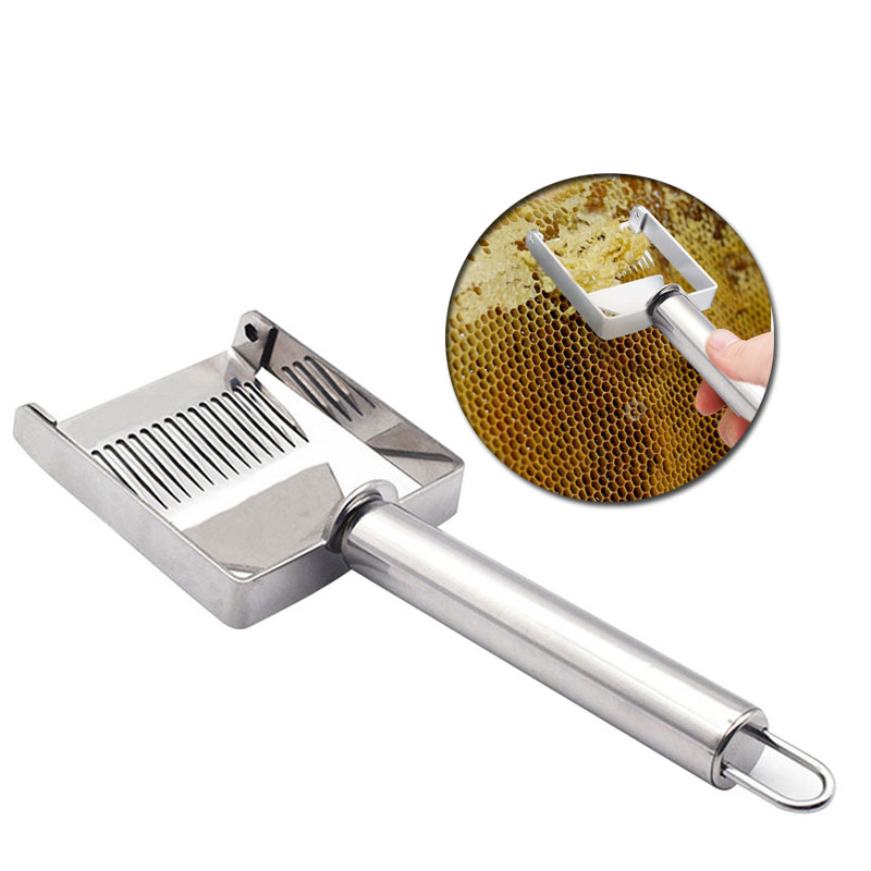 

Multifunctional Honey Cutter Stainless Steel Double Needle Beekeeping Tools Suitable for Uncapping Forks Honey Honeycomb Scraper