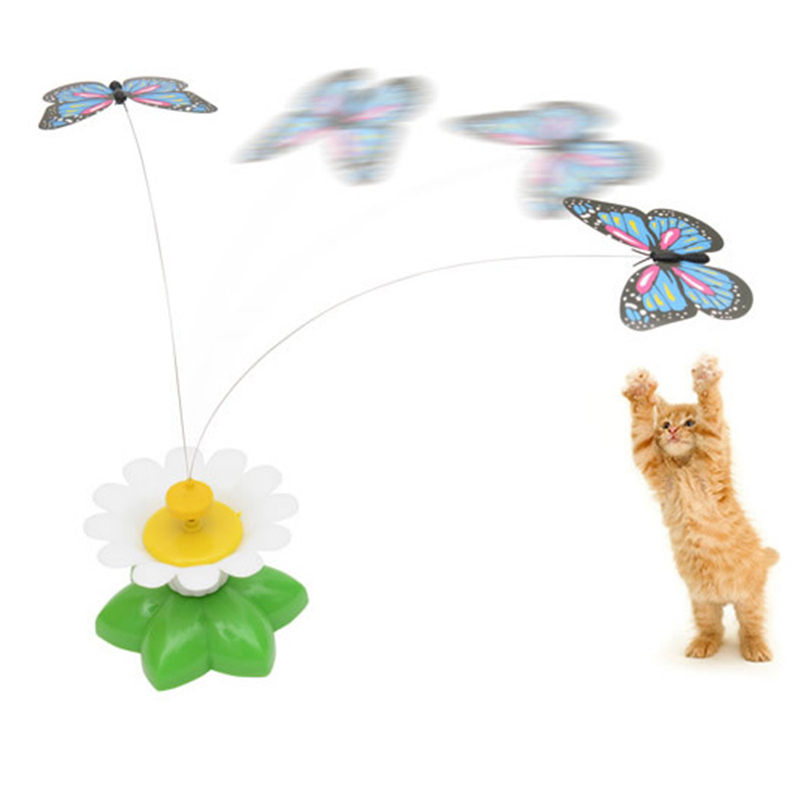 Promotion Papillon Chat Jouet Vente Papillon Chat Jouet Sur Fr Dhgate Com Promotion Papillon Chat Jouet Vente Papillon Chat Jouet Sur Fr Dhgate Com