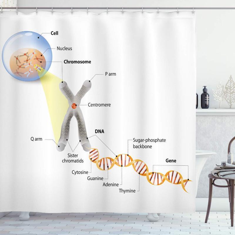 

Educational Shower Curtain Cell Chromosome DNA Gene Genome Study Double Helix Evolution Science Research Bathroom Decor Set1