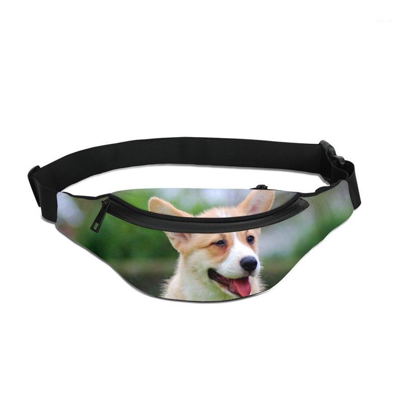 

VEEVANV 2020 New Kawaii Waist Bag Men Running Fanny Packs For Women Fashionable Phone Key Belt Bag Bum Unisex Waterproof1, Sky blue