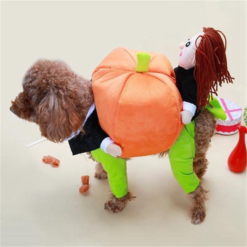 

Pet Cosplay Costume Funny Small Doll Holds Pumpkin Dogs Cats Halloween Christmas Clothing Suit