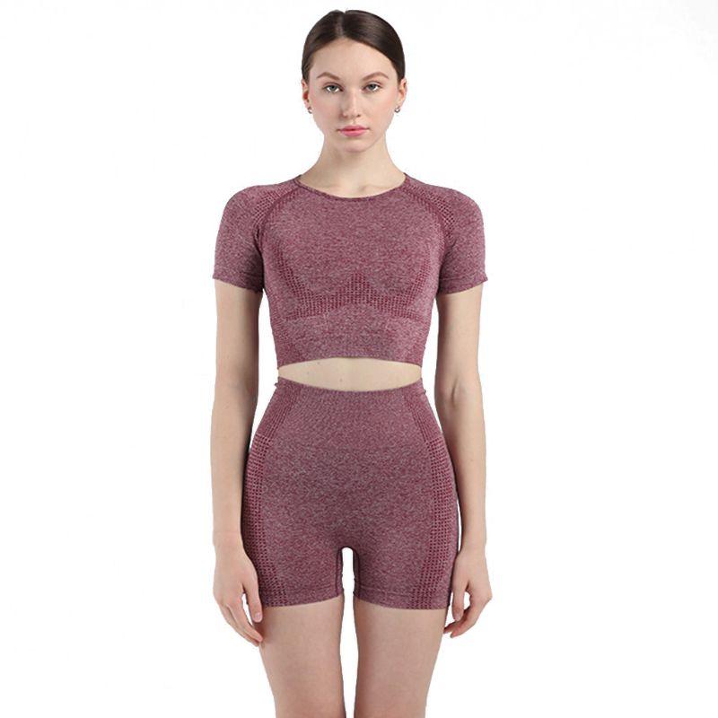 

Women Short Sleeve Yoga Set 2 Piece Seamless Suit Gym Fitness Crop Top + Shorts Dropshipping, Purple