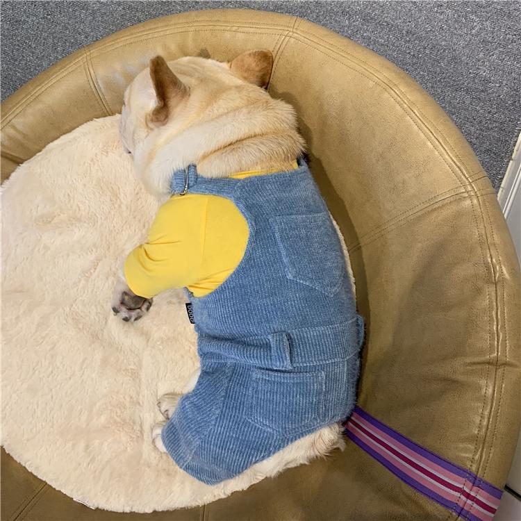 

Outfits Dog Clothing Pet Clothes Winter Chihuahua Yorkies Pet Bib Pants Dog Warm Autumn Clothes Puppy Products Dla Psa EE6BD, White