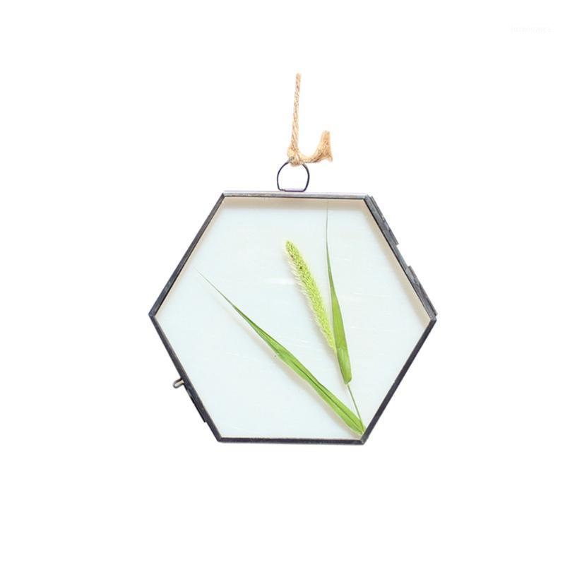 

Hexagon Glass Photo Prame Decorative Picture Frame Specimen Holder Hanging Photo Frames Home Decoration (Copper Color 8.5x8.5x101