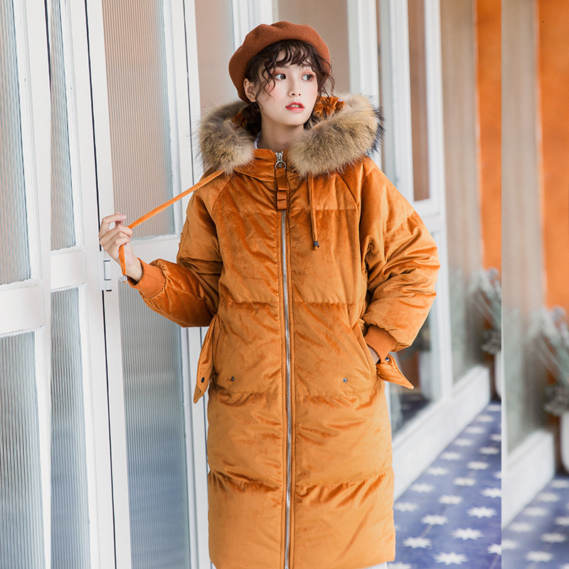 

New Autumn, Women in Hoodies, Big Leather Collar Jacket, Long Sleeve, Solid, Casual, Medium, Long, Hot Jacket. Yvq5, Orange