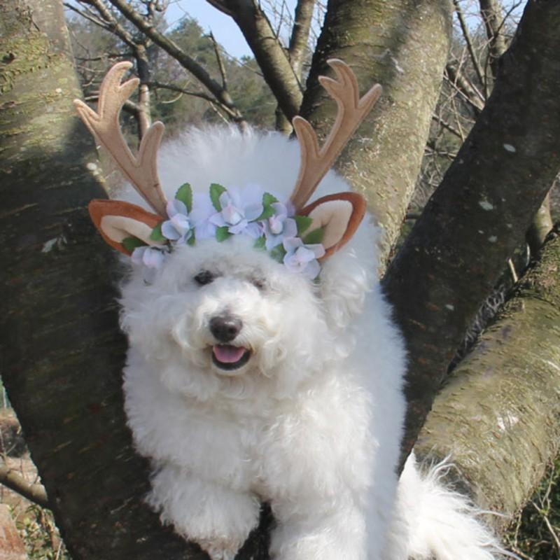 

01 2020 New Christmas Deer Design Printed Flower Dog Hats For Dog Cats Caps Headband Cat Accessories Pet Supplies 1, White