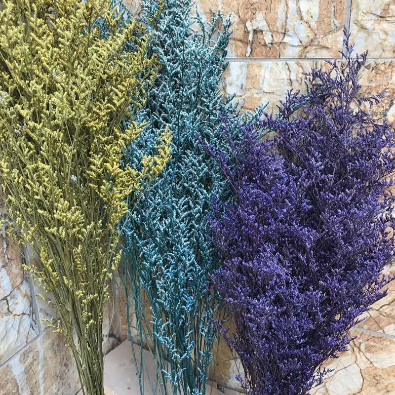 

30g/Bundle,15-35CM Lover Grass Natural Fresh Dried Preserved Dancing Flowers,Real Forever Flower Grass Branch For Home Decor1, 03