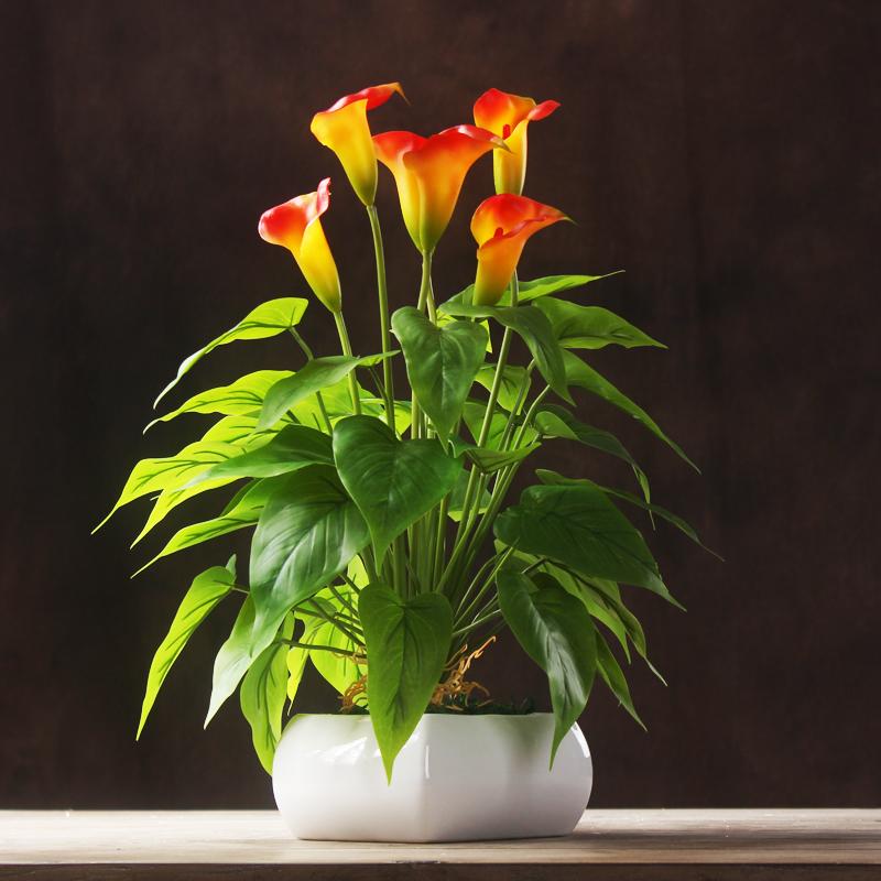 

INDIGO- Wholesale 100 pcs Calla Bouquet (18pcs Leaves+3pcs Flowers +Roots) Outdoor Flower Calla Wedding Flower Free Shipping, 100 piece white