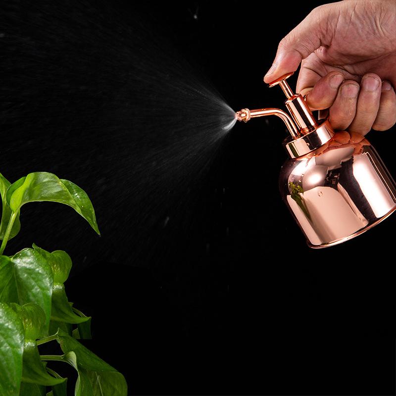 

Retro Mini Stainless Steel Watering Can Plants Succulents Watering Pot Home Office Potted Plant Garden Tool, 02