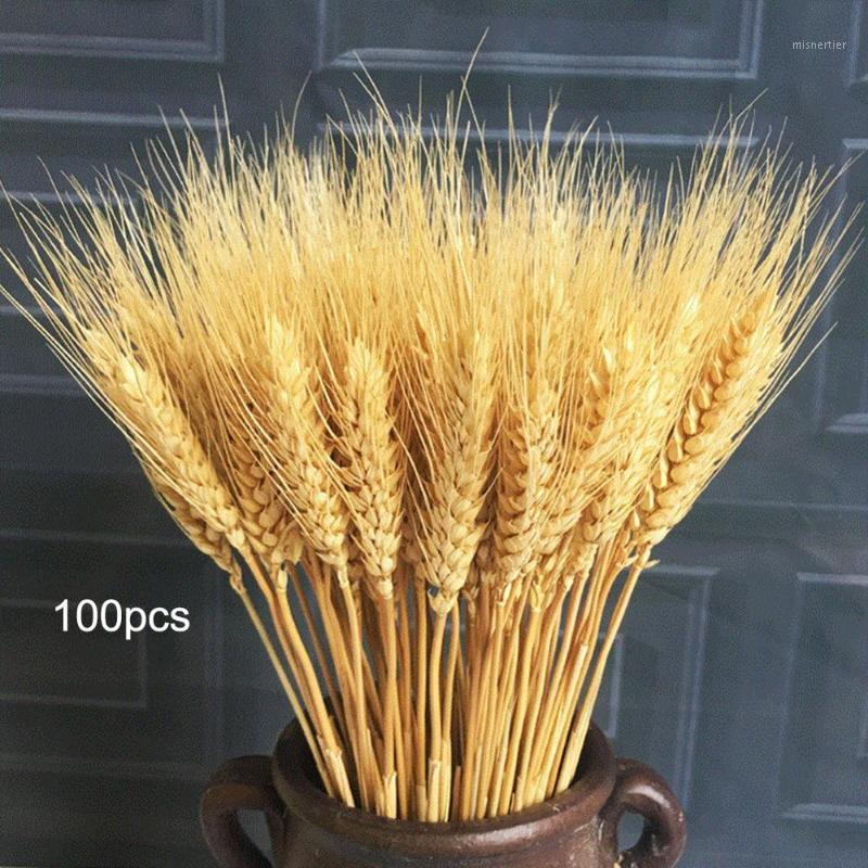 

100pcs/lot Fall Wheat Ear Flower Natural Dried Flowers for Wedding Party Decoration DIY Craft Scrapbook Home Decor Wheat1, Gold