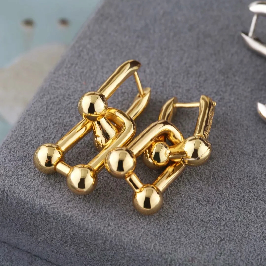 

mens and womens gold earring stainless steel jewelry boucles d'oreilles pour hommes silver earrings vintage earrings, Golden