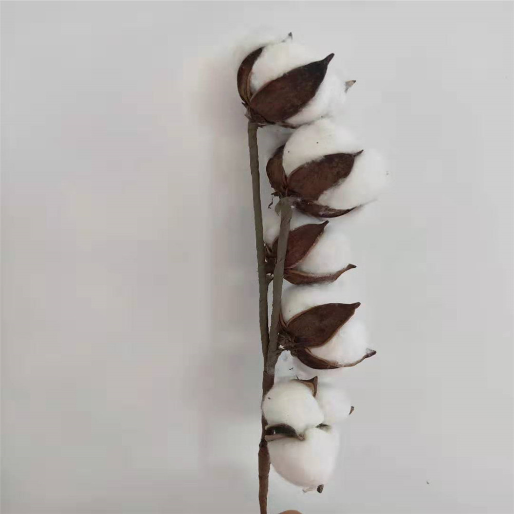 2020 White 9 Stems Natural Dry Flower Artificial Cotton ...