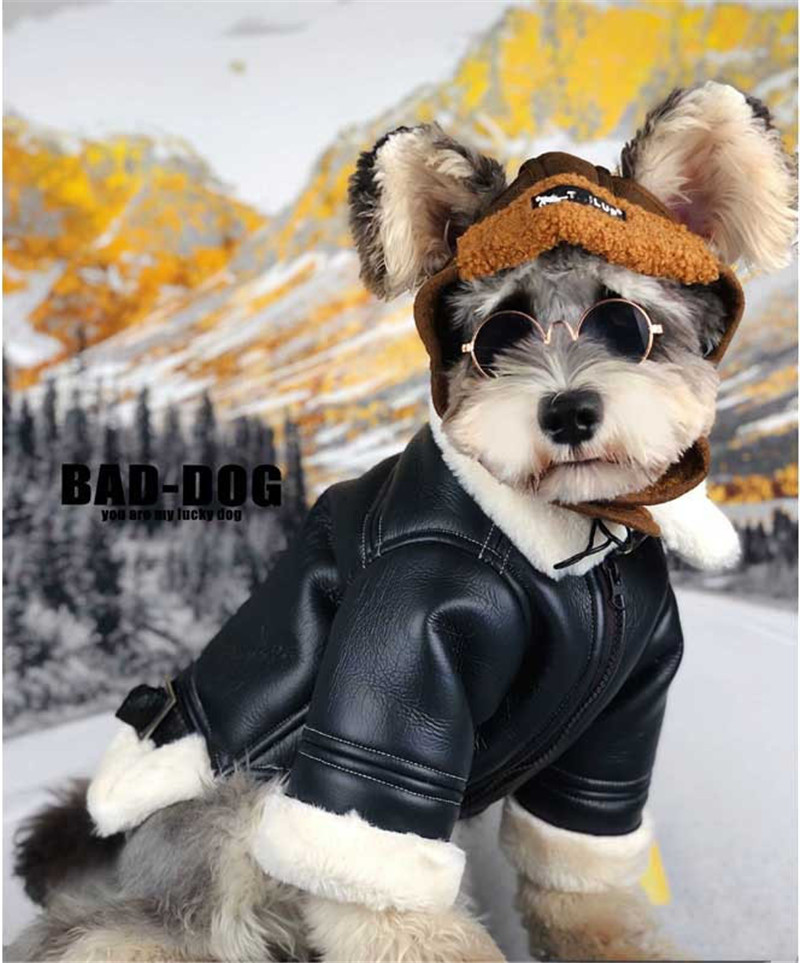

Leather Dog Coats Teddy Schnauzer Pomeranian Pet Jackets Outdoor Sports Warm Dreee Up Dog Clothes Free Shipping, As pic
