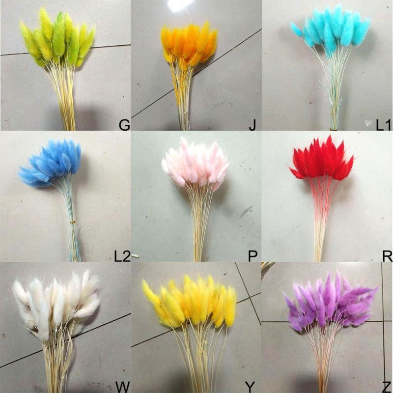

30Pcs/lot Natural Dried Flowers Colorful Lagurus Ovatus Real Flower Bouquet for Home Wedding Decoration Tail Grass Bunch1, Oa0540b