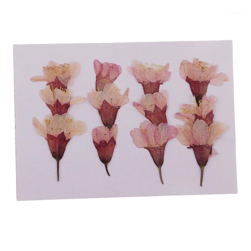 

MagiDeal 12x Pressed Real Sakura Flower Dried Flowers DIY Phone Case Scrapbook Crafts for Making Greeting Card Craft Accessories1, As pic