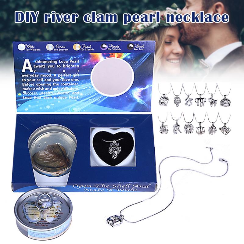 

Love Pearl Creations Zodiac Wish Kit with Pendant Necklace Durable for Women Girl TSH Shop