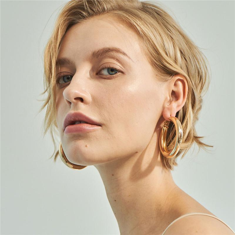 

Big Gold Hoops Earrings Minimalist Thick Tube Round Circle Rings Earrings For Women Zinc Alloy Trendy Hiphop Rock juany