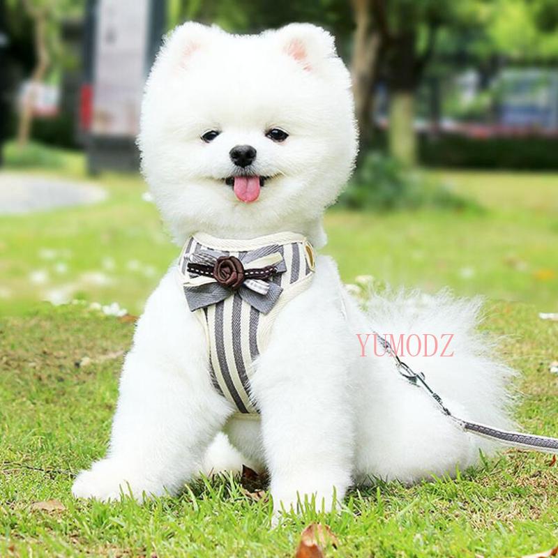 

L Vertical Stripes Chest Harness for Small Puppy Flower Tie Bow Harnesses Vests with Rope Breathable Grid Pets Dogs Clothes