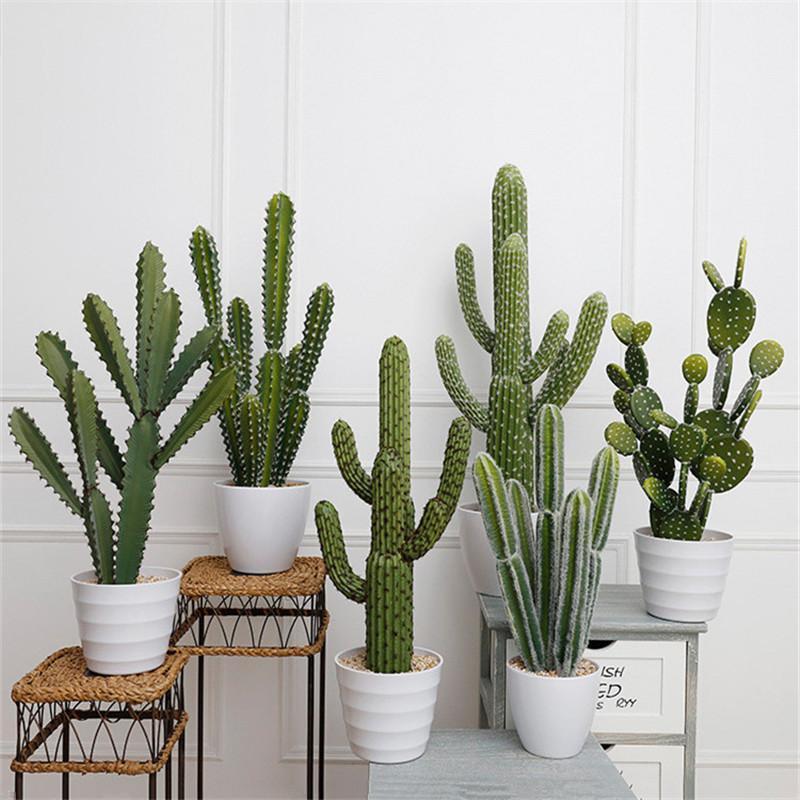 

Artificial Cactus Garden Plant Garden Simulation Desk Decoration Holiday Gift Home Decoration1