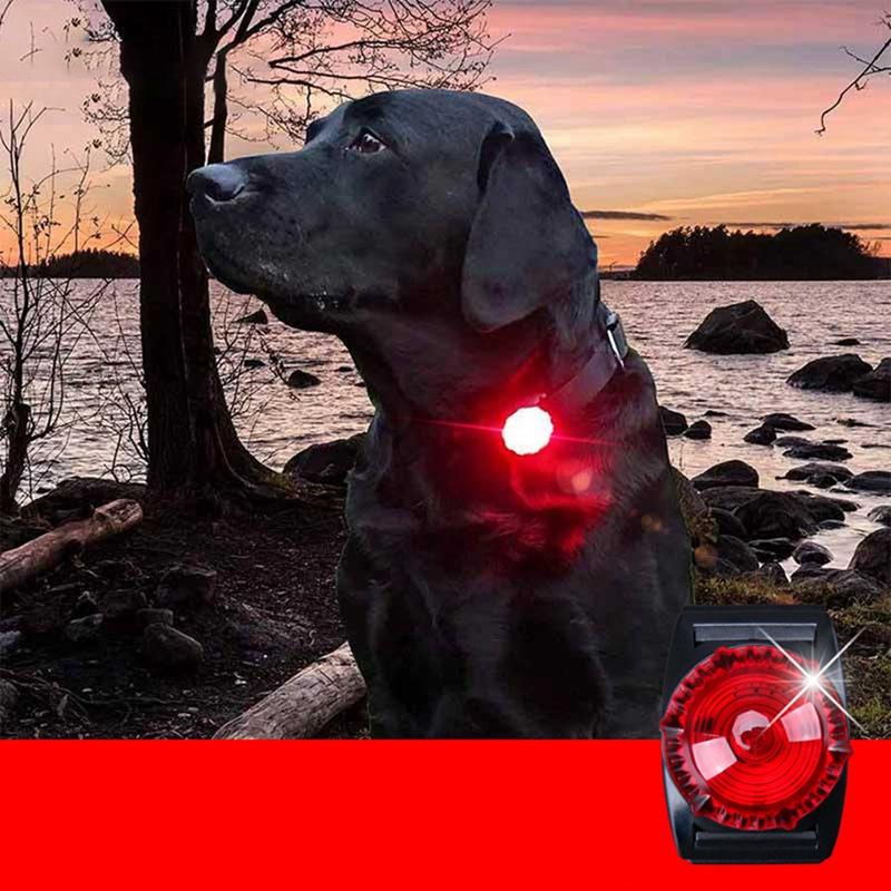 

Dog Bright Collar Pendant Glow In Dark Night Led Cat Dog Collar Leads Lights Glowing Pendant Necklace