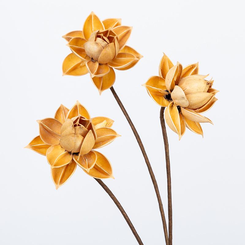 

2PCS Natural Dried Flower Branch,Craft Lotus,DIY Display Flower for Room Office Wedding Favor Floral Decor,Gift Eternelle Rose