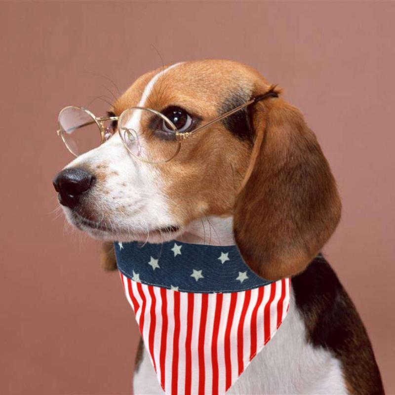 

Dog Bandana American Flag Pet Dog Scarf Cotton Adjustable Bib Decorative Collar For Puppy Dogs Supplies