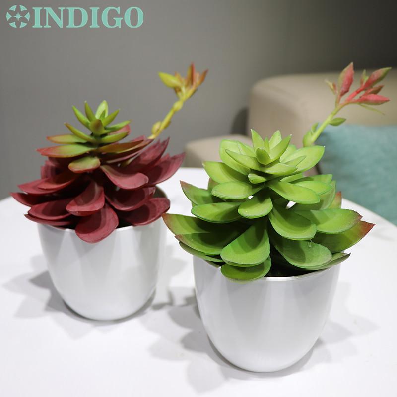 

INDIGO - Artificial Succulent Echeveria Grus Plant With Vase Desert Plant Plastic Flower Bonsai Lotus Decoration Free Shipping, 1 set same as photo
