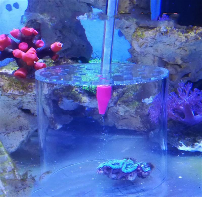 

Aquarium coral feeder cover protect prevent fish eating in marine fish tank