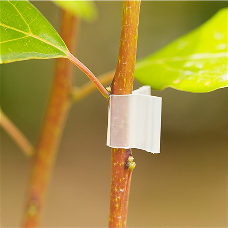 

100pcs Durable Plastic Plant Support Clips For Types Plants Hanging Vine Garden Greenhouse Vegetables Garden Ornament