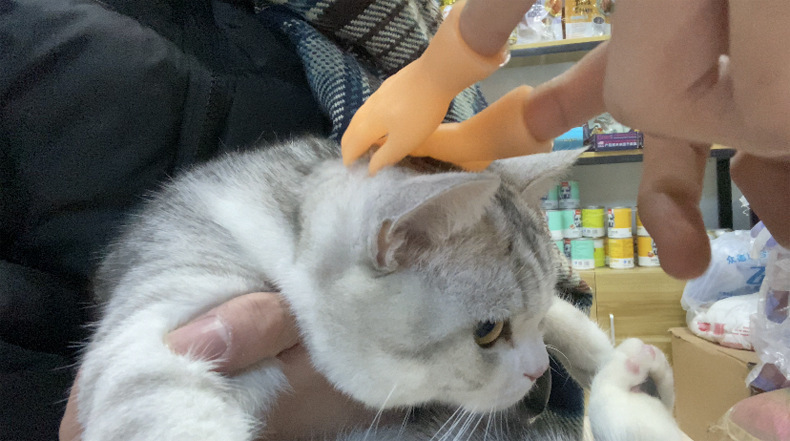 Acheter Tiktok Doigts De Chat Gants Jouets Mini Mains Droles Chat Chien Produits De Massage Pour Animaux De Compagnie Q18 De 2 09 Du Musuo09 Fr Dhgate Com Acheter Tiktok Doigts De Chat Gants Jouets Mini Mains Droles Chat Chien Produits De Massage Pour Animaux De Compagnie Q18 De 2 09 Du Musuo09 Fr Dhgate Com