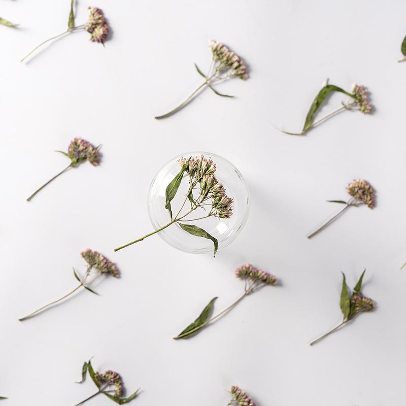 

Decorative Flowers & Wreaths 120pcs/500pcs Pressed Flower For Resin Eupatorium Fortunei Dried DIY Phone Cover Craft Art Canlde Soap Scrapboo