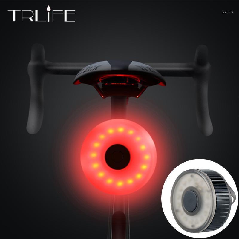 

Mini Bicycle Tail Light Bike Rear Light Taillight Smart USB Rechargeable Safety Warning Lights Cycling accessory1