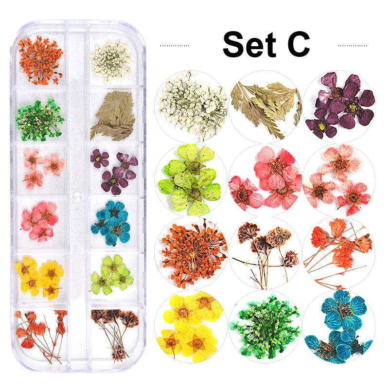 

1 Box 3D Natural Dried Flowers Nail Art Decoration Colorful Flower Sunflower Daisy Leaf Designs Nails Decorations for Manicure