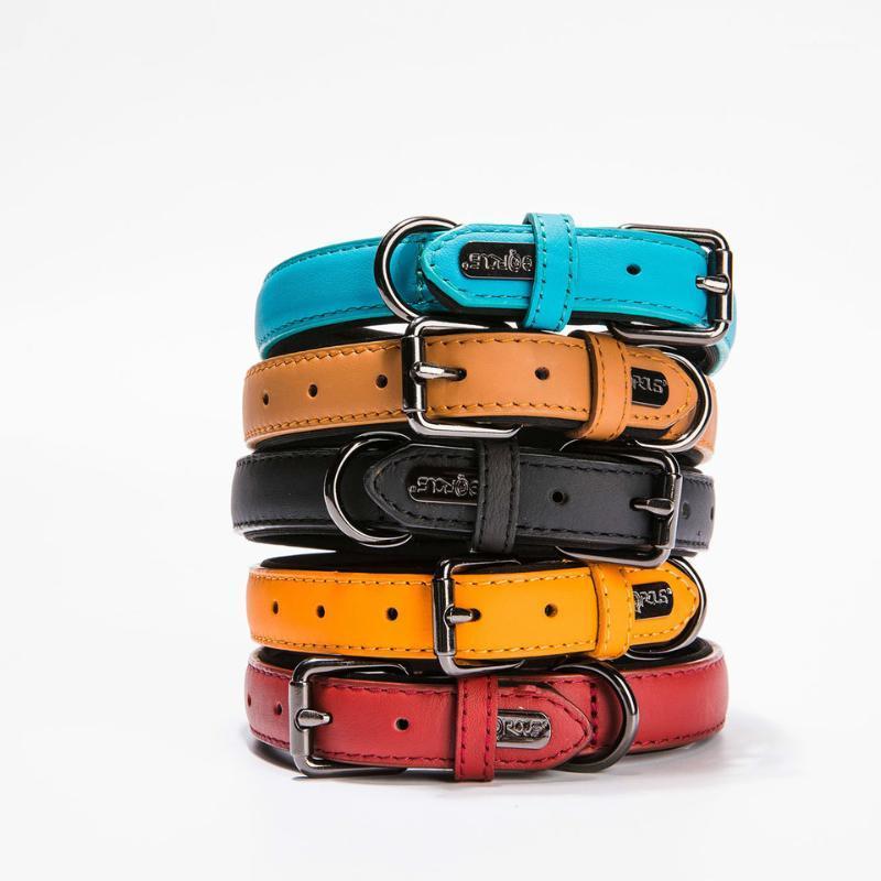 

Dog Leather Collar Pet Supplies Small Medium Dogs Supplies Pet Accessories Products Solid Five Colors Collars1