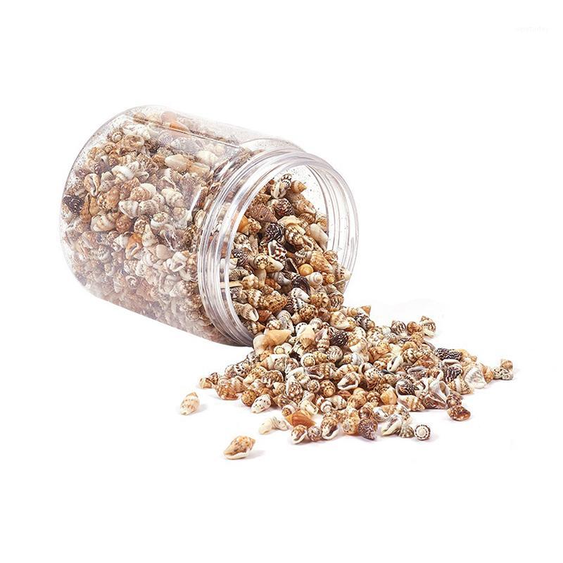 

1 Box Small Miscellaneous Conch Home toysDecoration Material Natural Craft Seashell Aquarium Fish Tank Landscape1