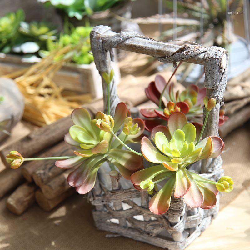 

1PCS Fleshy Lithops Plants Succulents Bonsai Succulents Potted Flowers For Home Garden Decoration1, Red