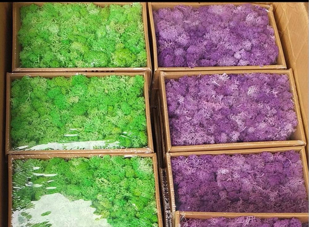 

200g Preserved Fresh Dried Moss For Wedding Home Party Holiday Decorate DIY Bouquet Project Accessory, Blue