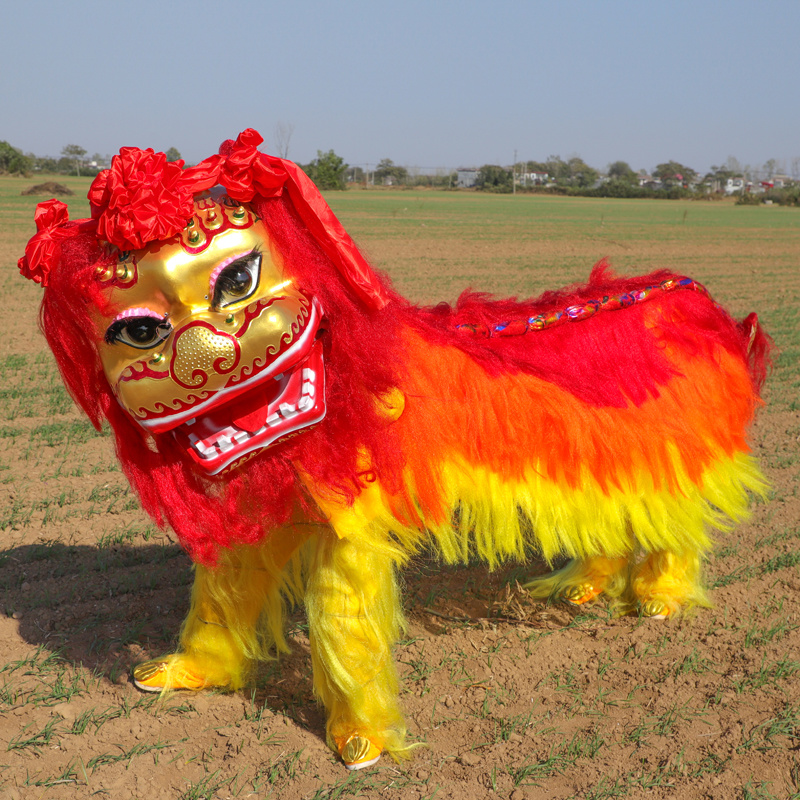 Costumes de mascotte Costume de danse du lion haut de gamme Vêtements de danse du lion Performance de danse du lion Festival de printemps Double