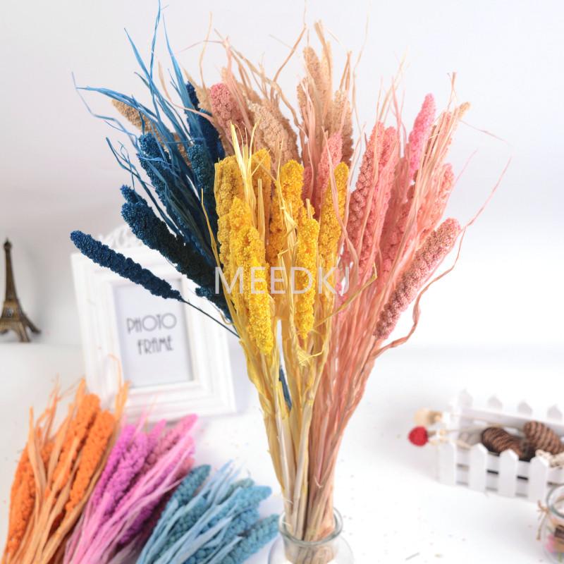 

10Pcs natural dried flower bouquet millet spike millet spike pastoral home decoration DIY garland fake plant shooting props, White