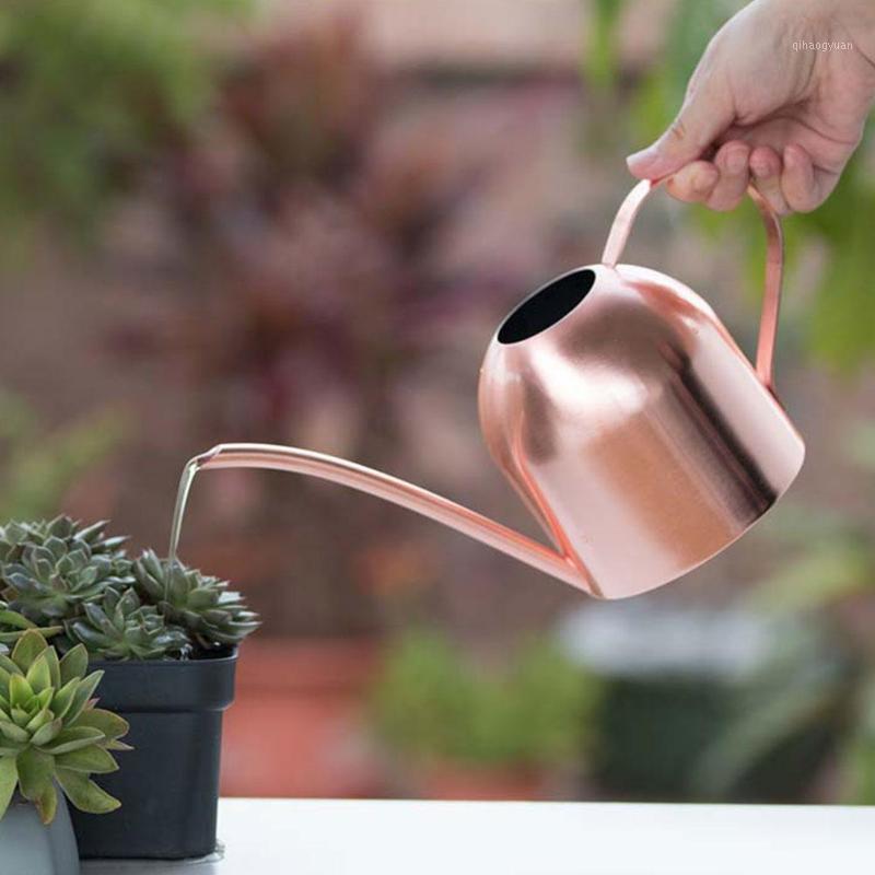 

500ML Watering Pot Stainless Steel Long Mouth Green Plant Watering Can Golden Kettle Small Gardening Tool1