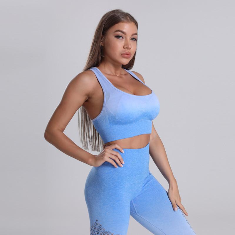 

Seamless Sports Bra For Women Gym Workout Tops Training Bra Push UP Yoga Top Padded, Yj-1201-02-5